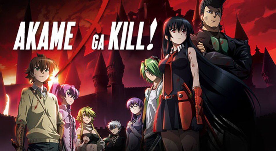 Akame ga KILL! Anime's 2nd Half Promoted in TV Ad - News - Anime News  Network