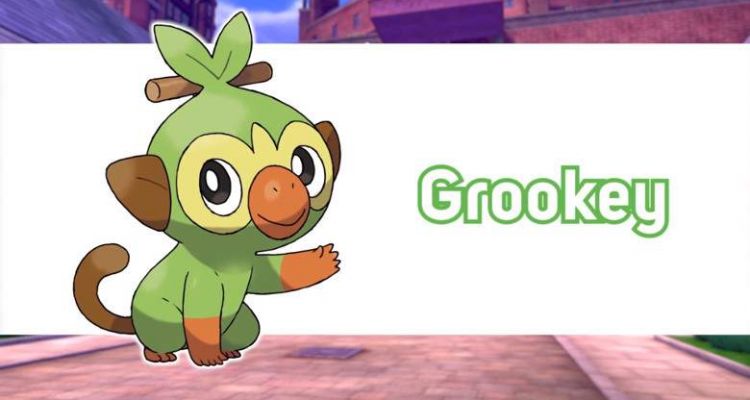 Facts Grookey Is The Best Starter In Pokemon Sword And Shield